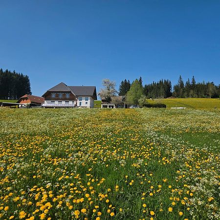 Lorenzenhaeusle Титизее-Нойштадт Экстерьер фото