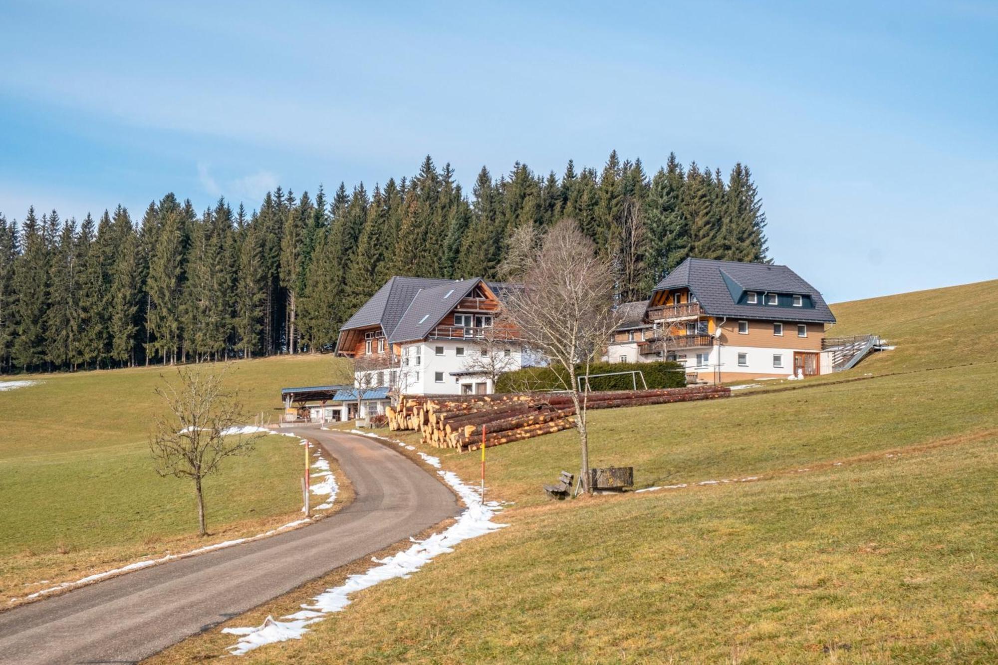 Lorenzenhaeusle Титизее-Нойштадт Экстерьер фото