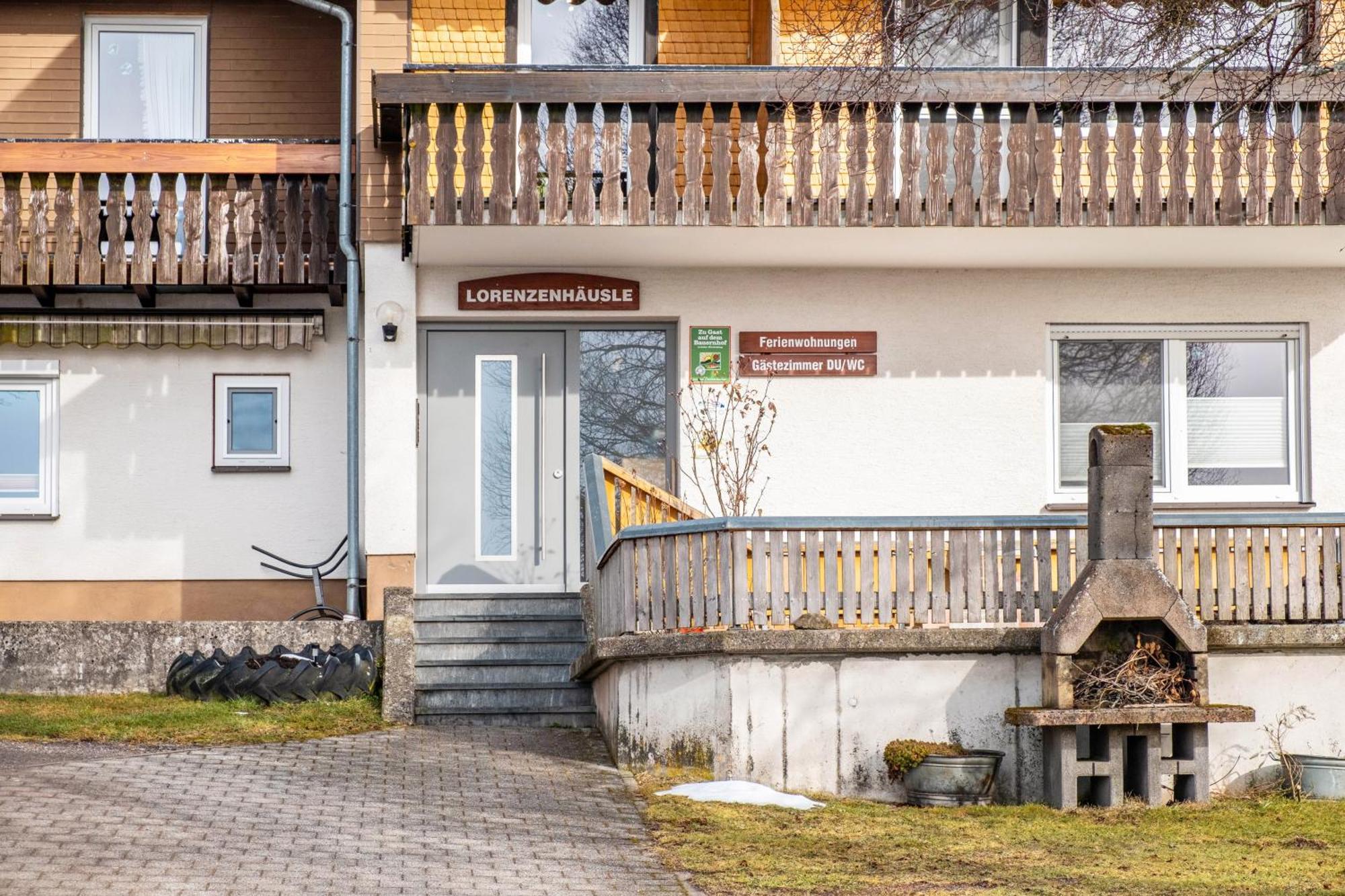 Lorenzenhaeusle Титизее-Нойштадт Экстерьер фото