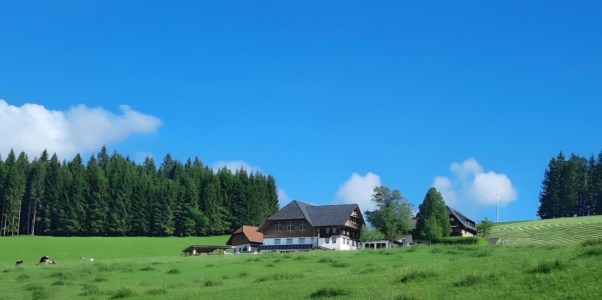 Lorenzenhaeusle Титизее-Нойштадт Экстерьер фото