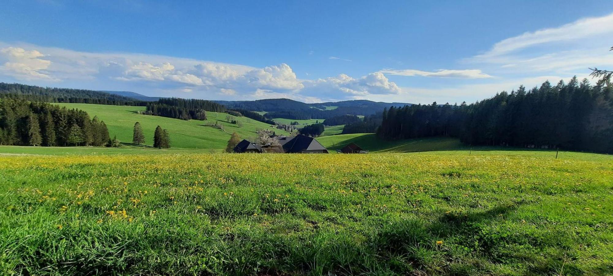 Lorenzenhaeusle Титизее-Нойштадт Экстерьер фото